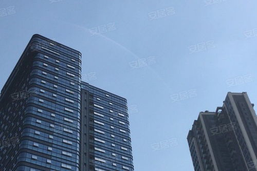 金地壹粵府綜合評析 優勢、不足與市場口碑